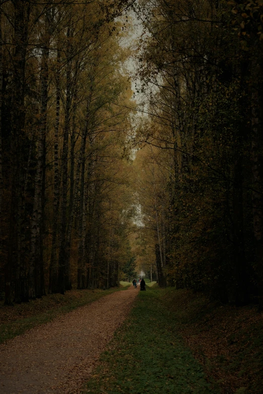 two people walking down a pathway in the woods