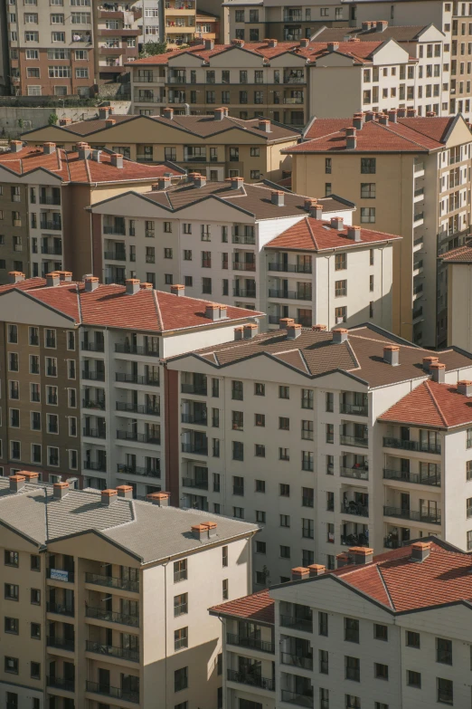 a bird sits on the roof of a tall building in the city