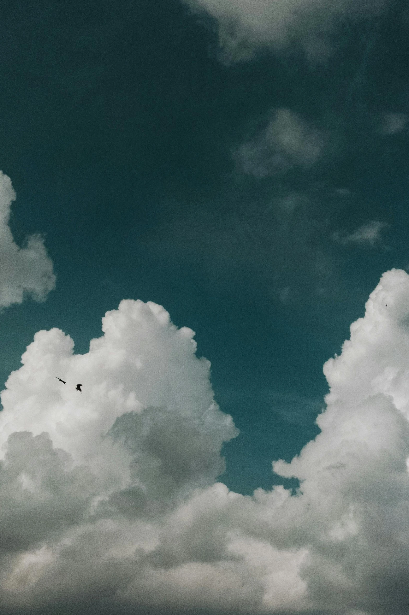 a plane flying in the blue sky with a cloud