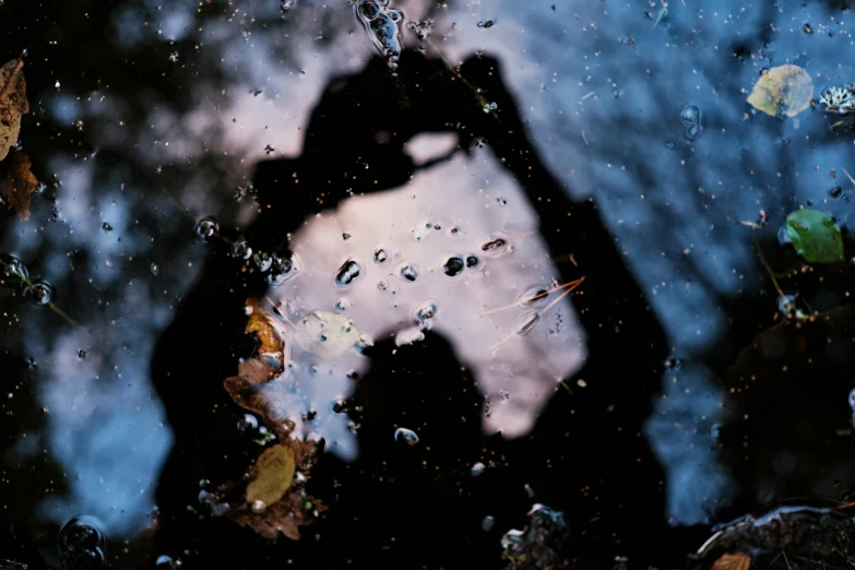 a person standing in the rain in front of a dle with some leaves