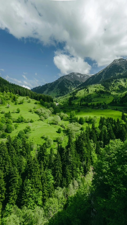 an open field with a mountain in the background