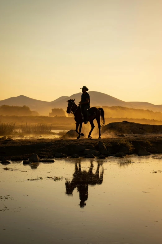 a person on a horse on top of a rock