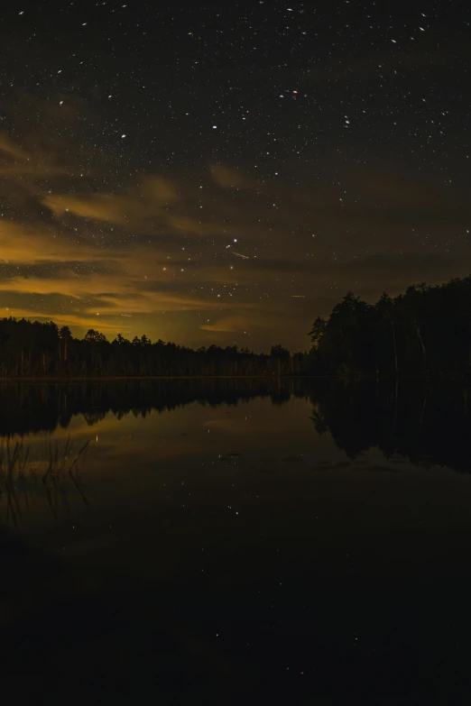 the stars shine above the trees and water