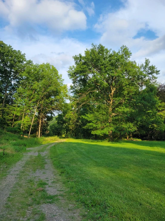 the path is marked for people to climb and walk