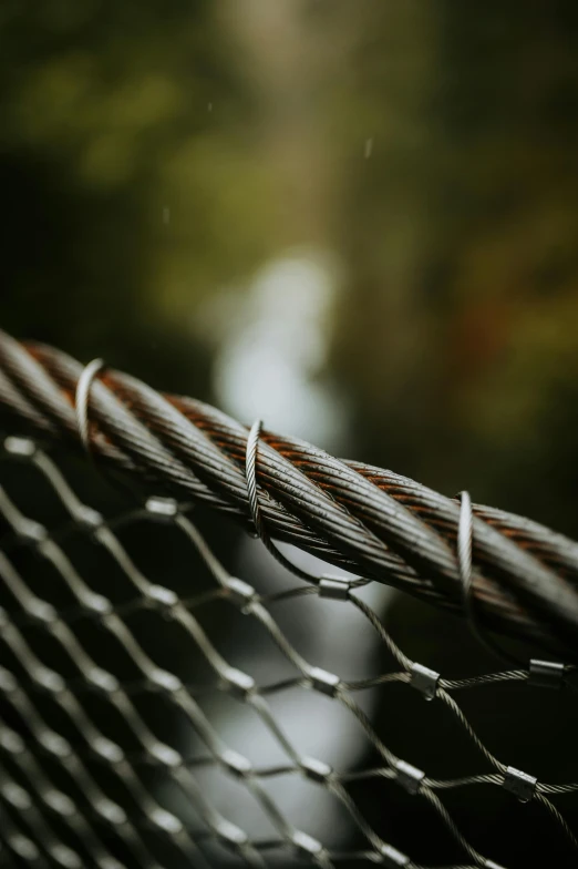 a wire fence next to a wooded area