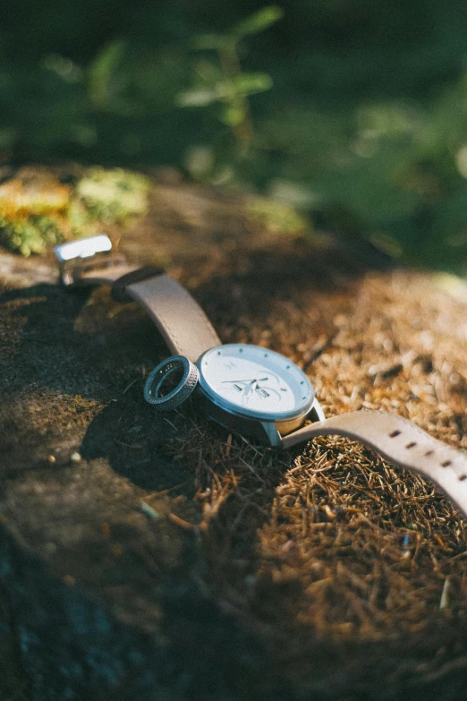 a small watch sits in the dirt in front of some grass