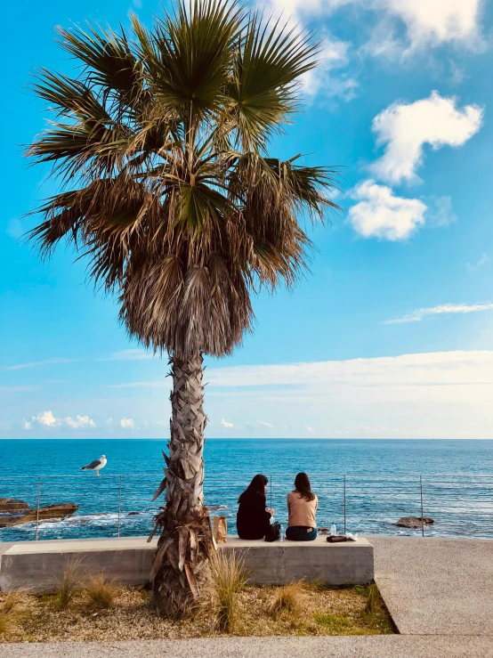 two people are sitting on a bench by the ocean