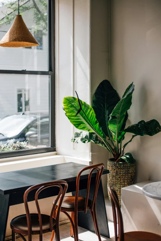 a kitchen table and two chairs with a plant in a basket on it