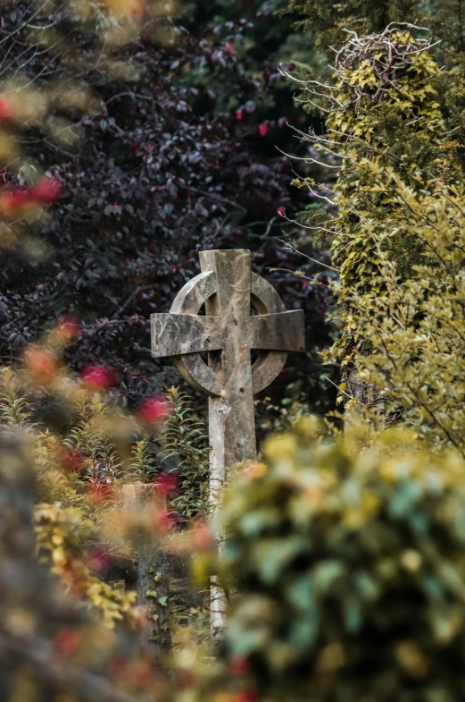 an old wooden cross that is out in the woods