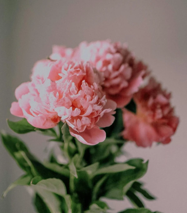 a glass vase filled with pink flowers sitting on top of a wooden table