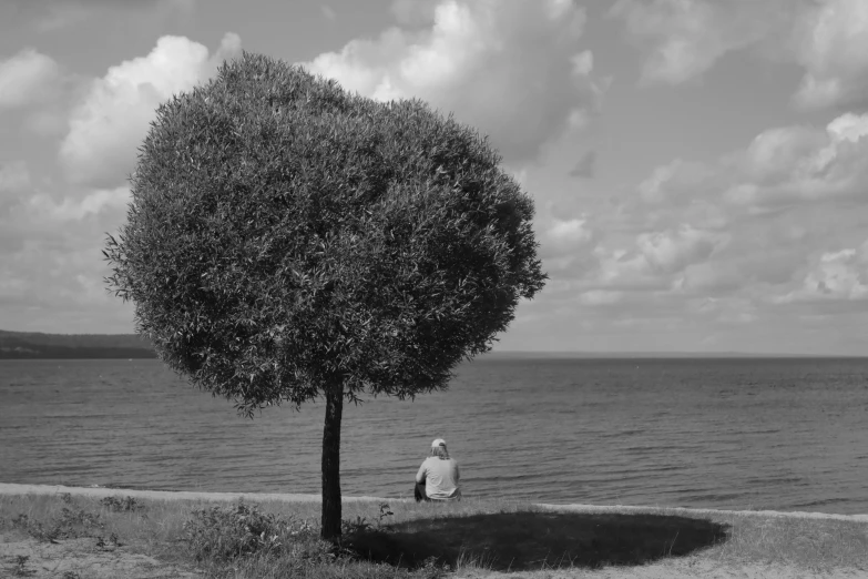 an image of a black and white po of a person sitting in the shade of a tree