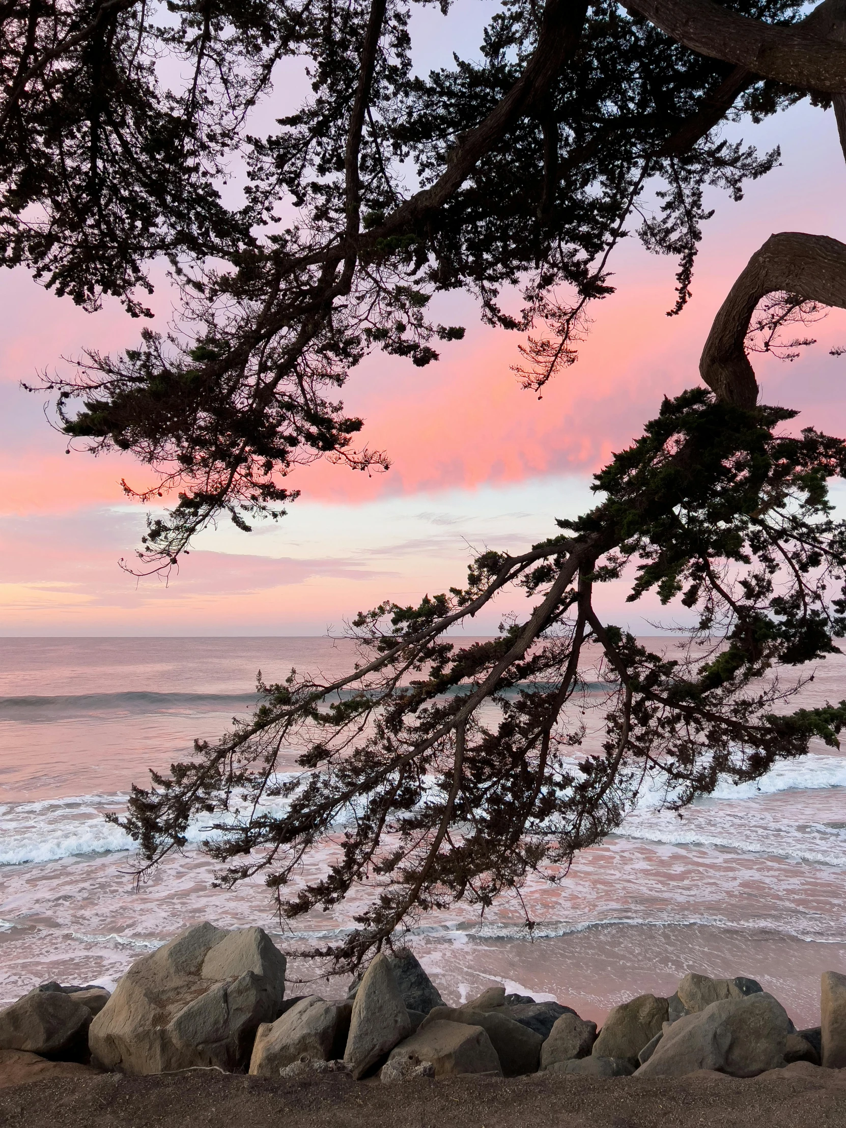 an image of the view from the beach of water with tree