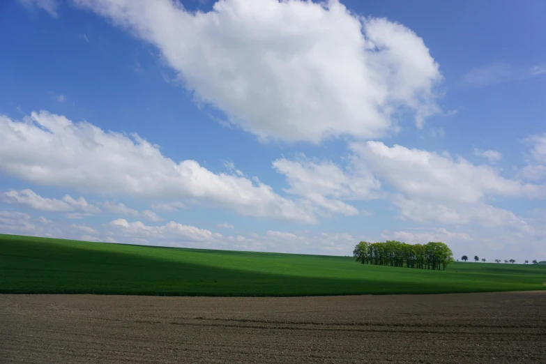 green field with trees and blue sky in background