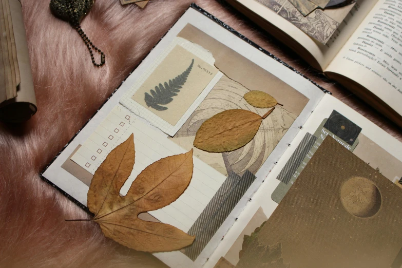 an open book on a table with papers, leaves and a feather
