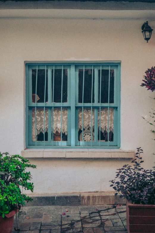 window in wall with green trim and potted plants