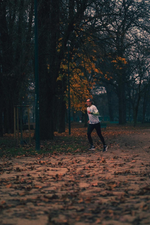 a person in the woods tossing a frisbee