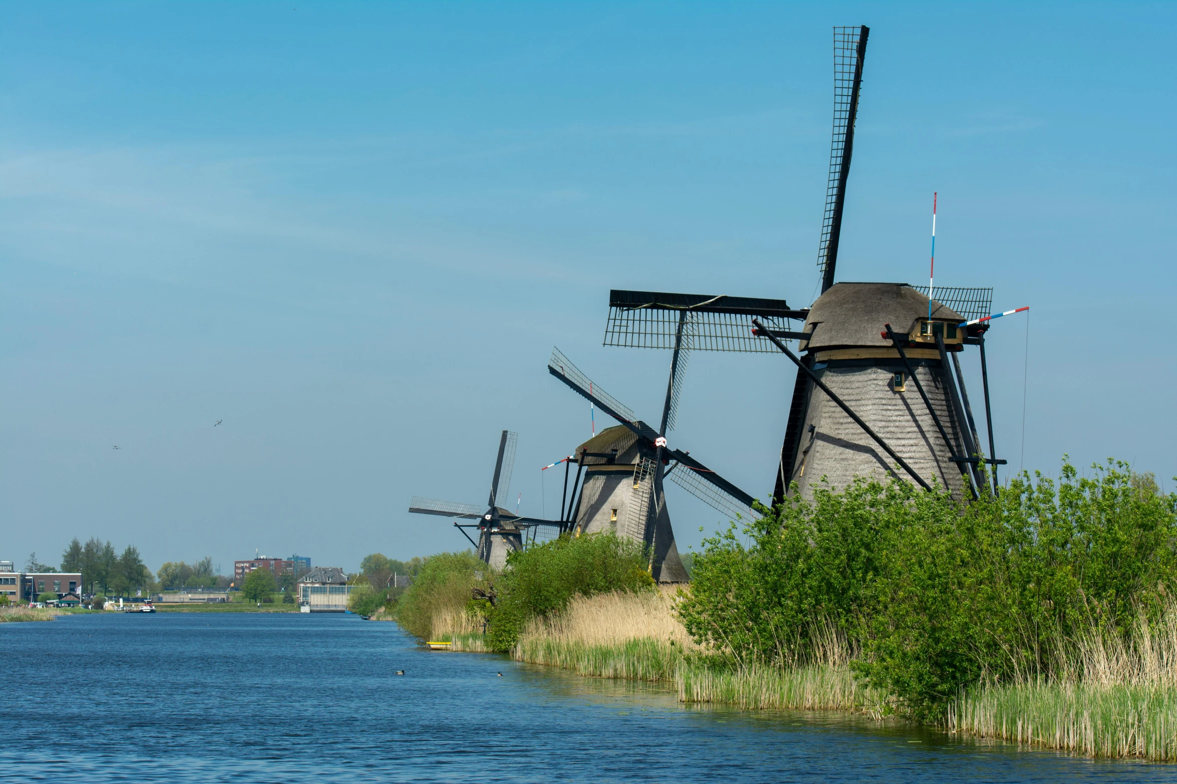 a large body of water with a group of windmills on each side