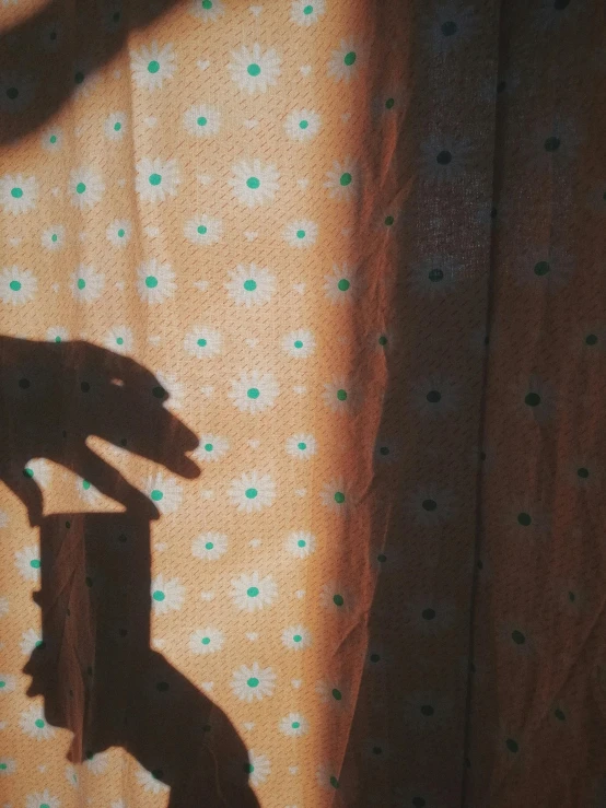 the shadow of a person's hand holding soing over a curtain
