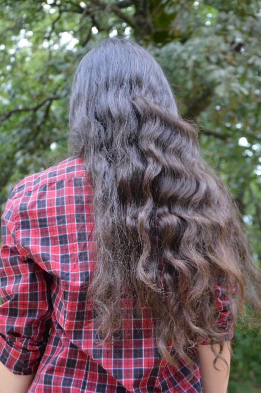 the back view of a woman with long hair