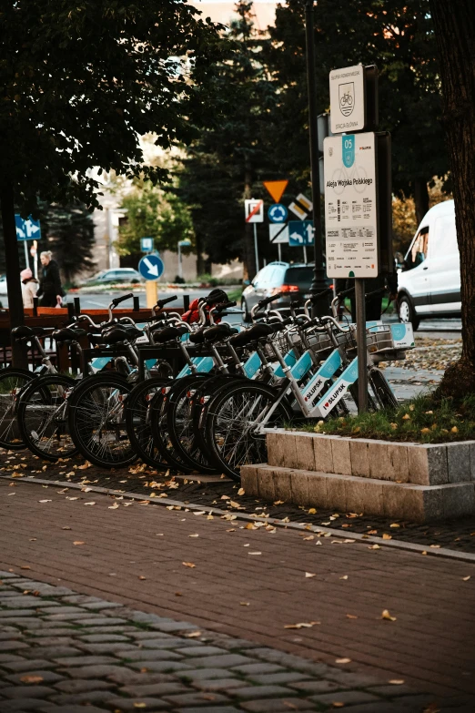 a long row of bikes parked next to each other