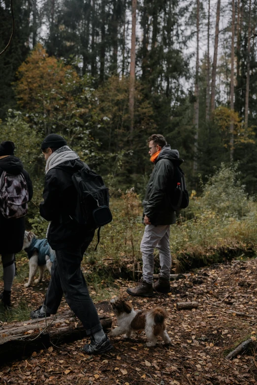 three men walking their dogs in the woods