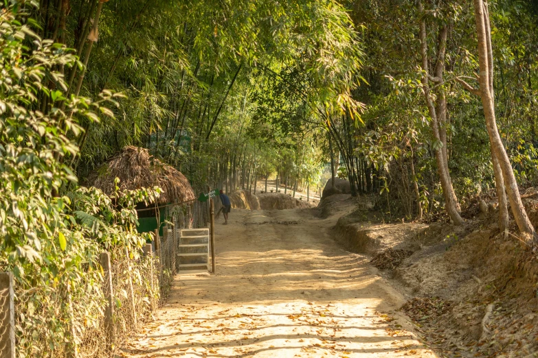 a road with a fence and green trees