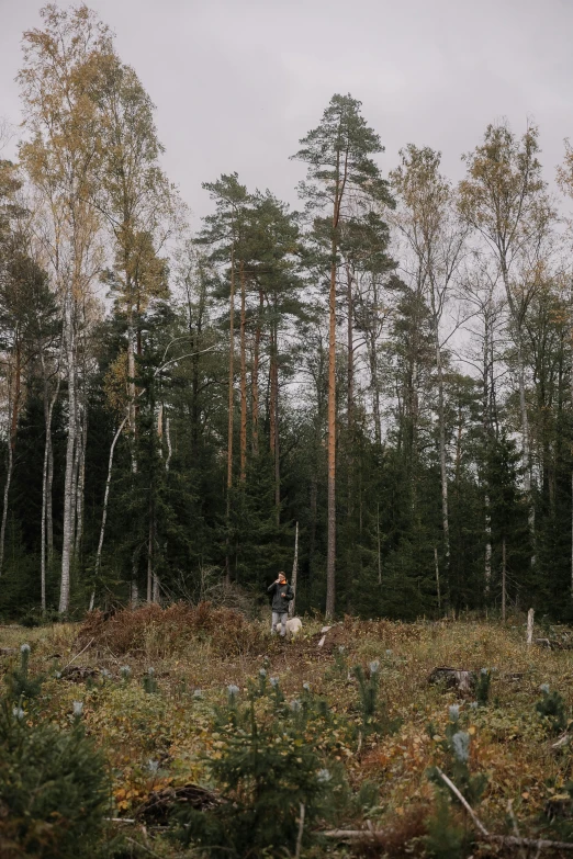 the person is in the woods by some trees