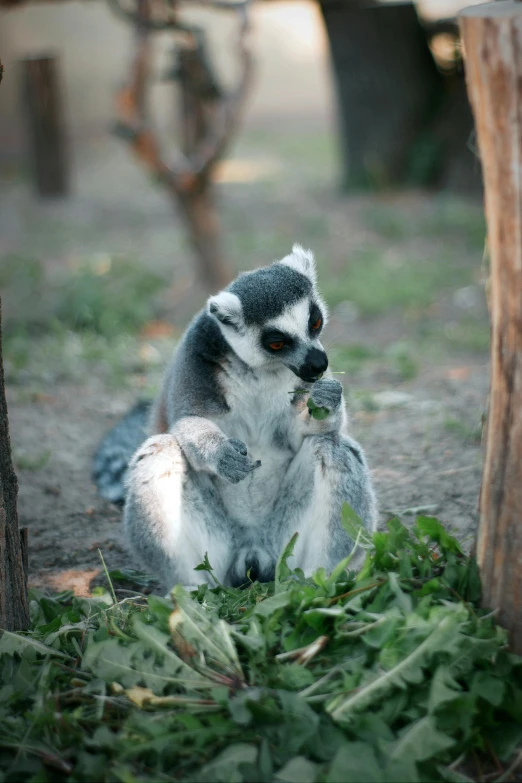 a stuffed animal that is eating leaves by a tree