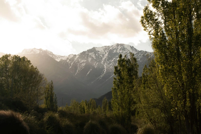 a scenic scene of snowy mountains and trees