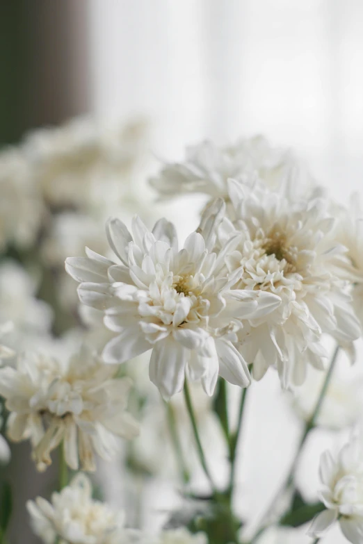 an image of the center of flowers in the vase