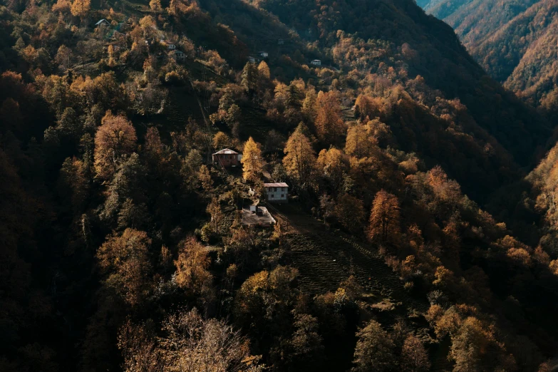 the landscape is mostly empty and contains trees