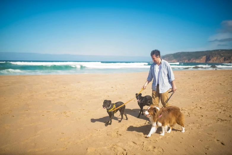 a man with two dogs on the beach