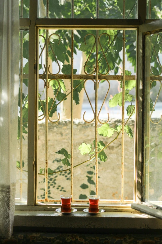 two orange cups on a window ledge in a window sill