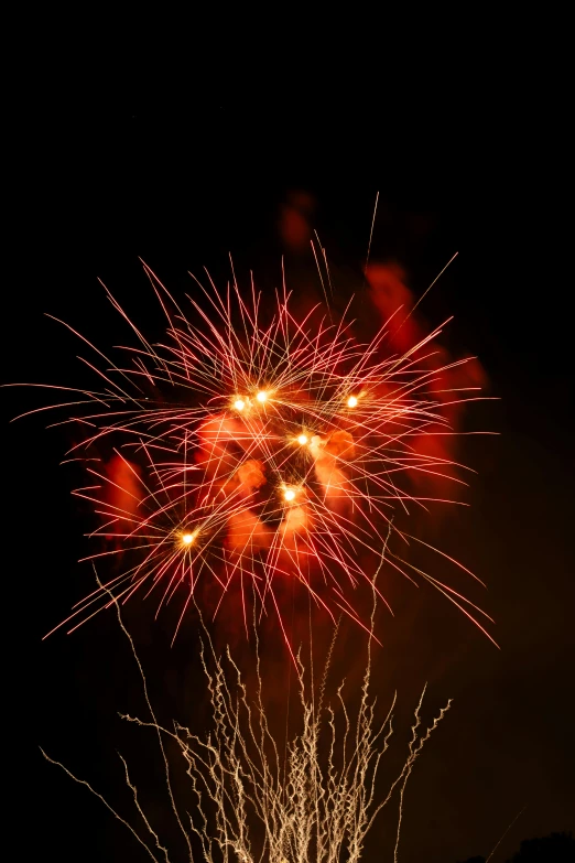 the firework displays an dazzling display in a dark night sky