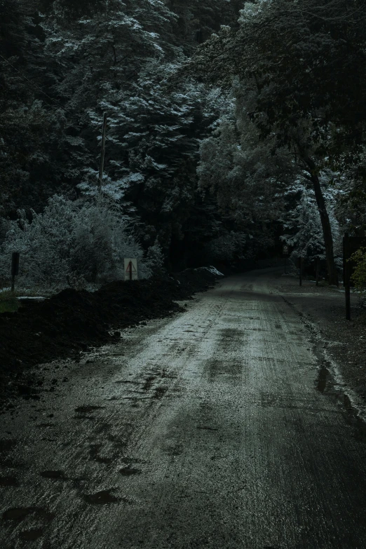 a dark paved road with several trees growing out the sides of it