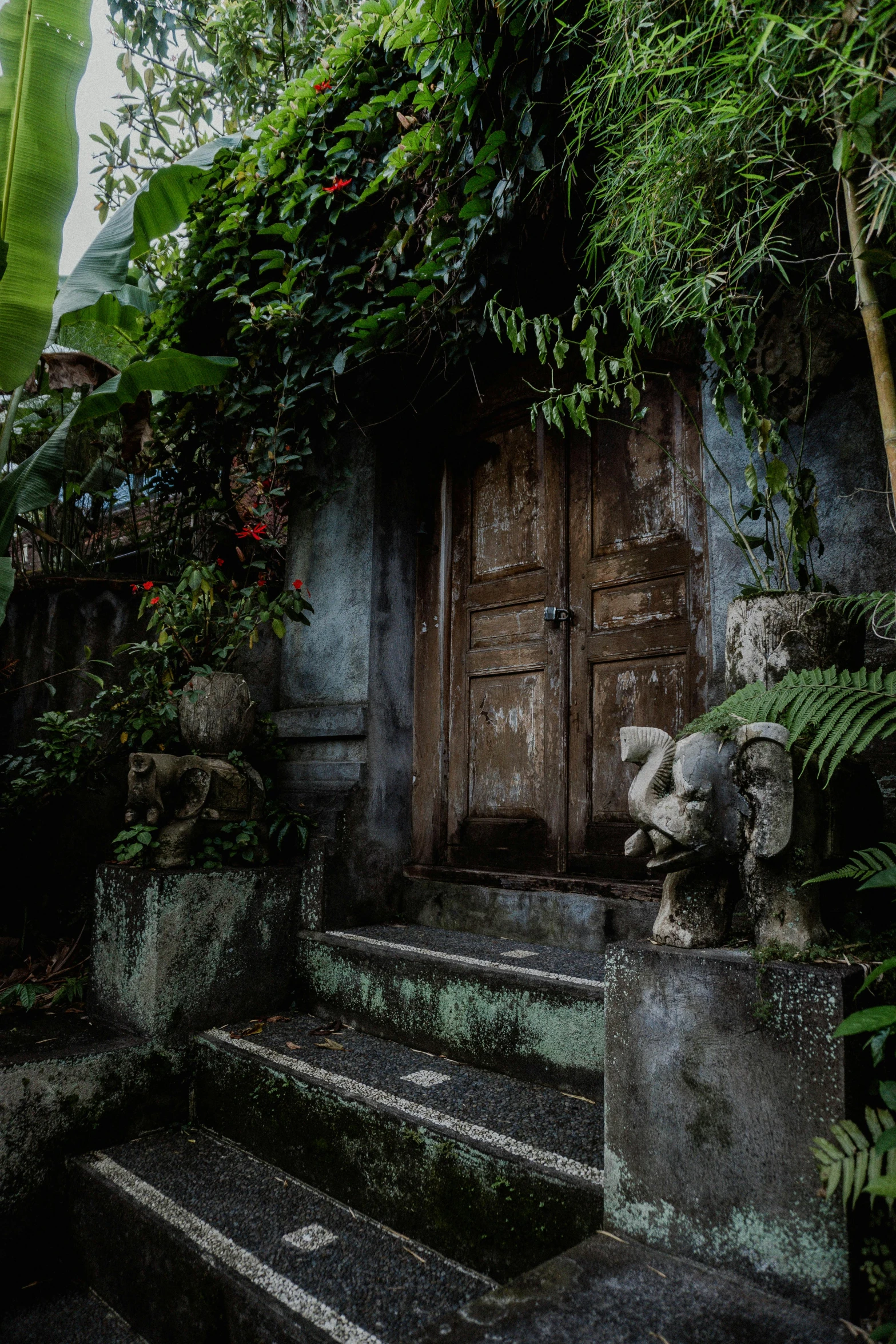 an old doorway in the bushes surrounded by stone steps