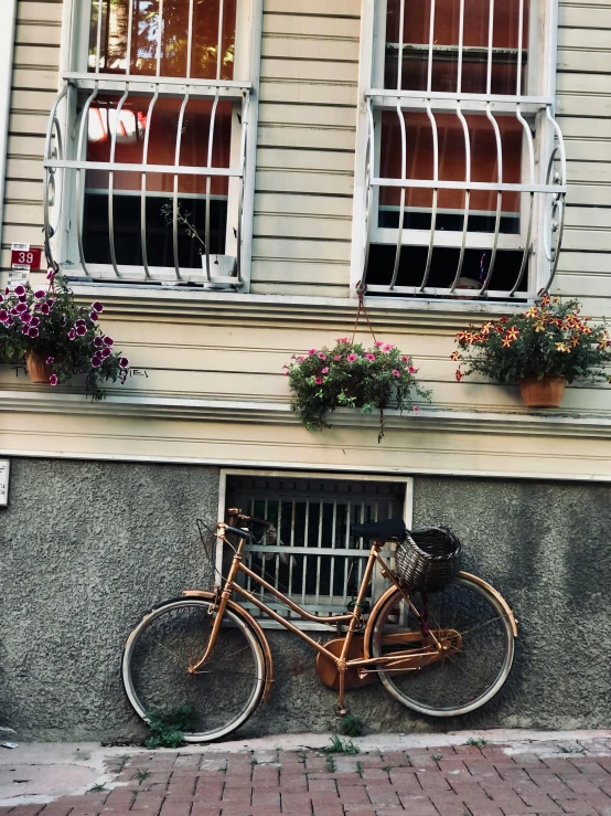 a bicycle sits outside the window of an apartment