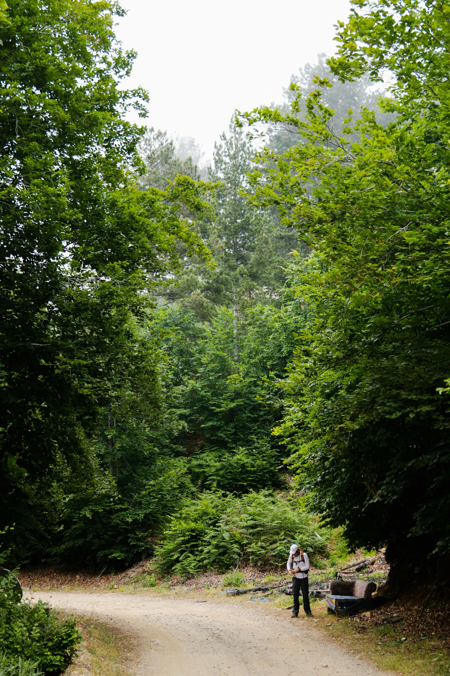 two people on a dirt road walking in the woods