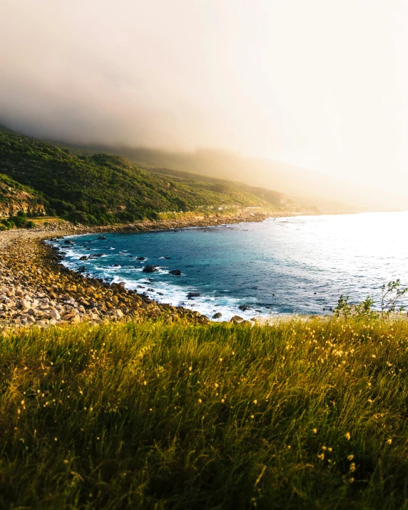 view from a hill of grassy field and water