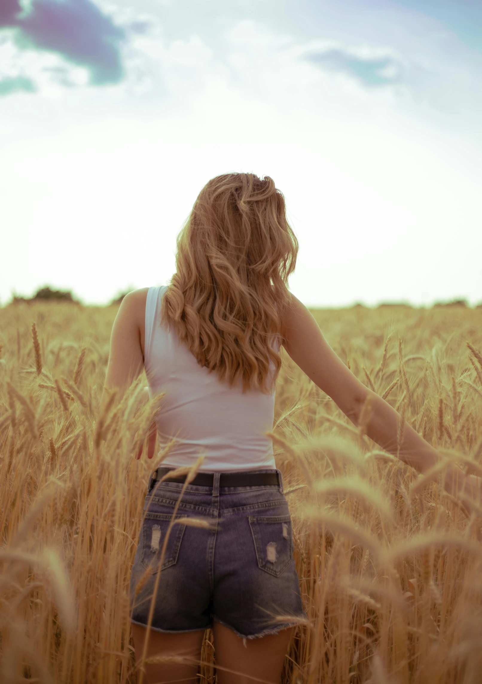 a woman stands in a wheatfield while the sun is setting