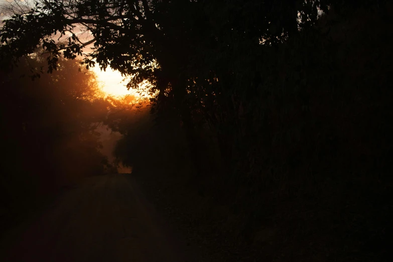 a street scene with the sun setting behind trees