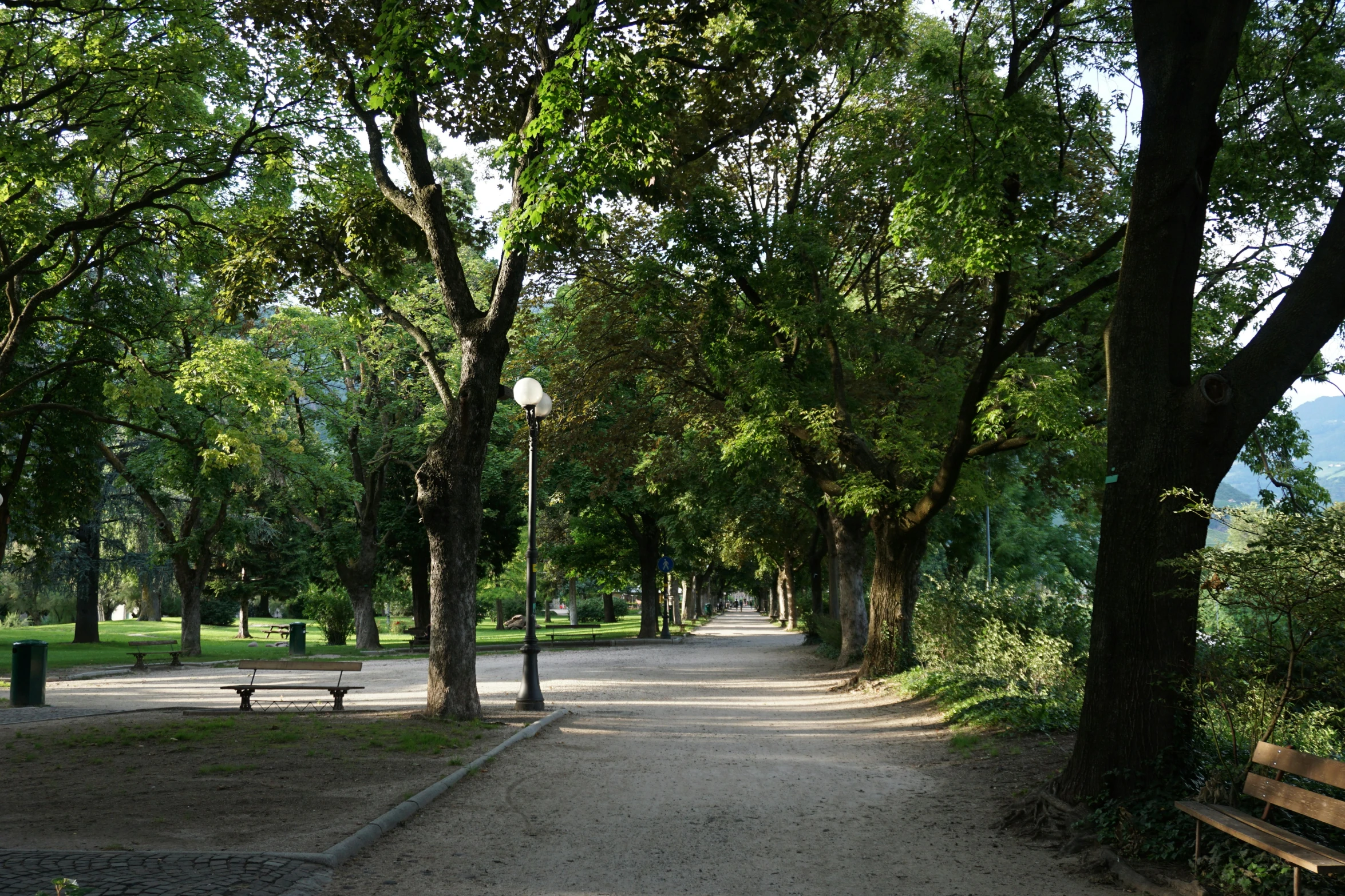 a large park has lots of trees and benches