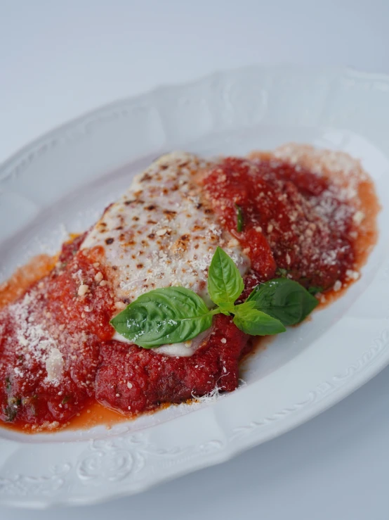 meat with sauce and green leaves on a white plate