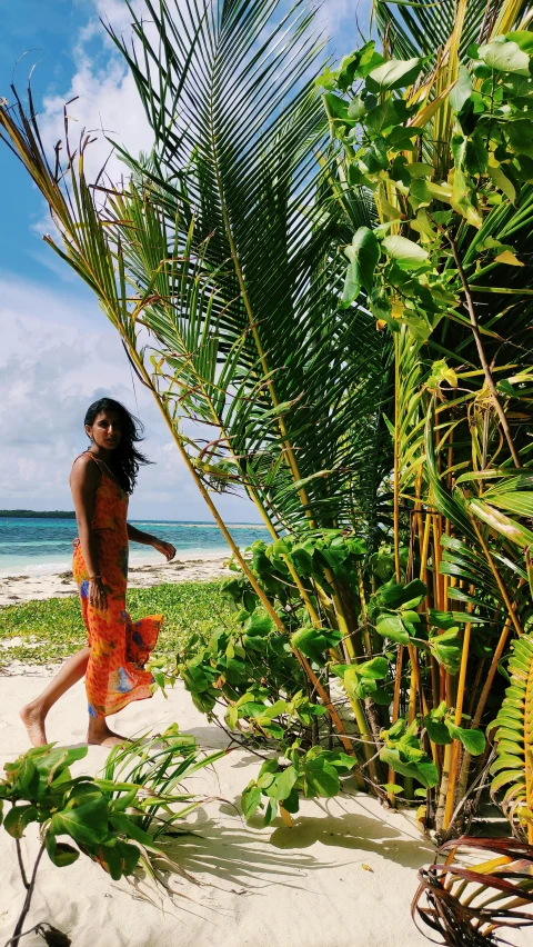 a woman walking on a sandy beach next to palm trees