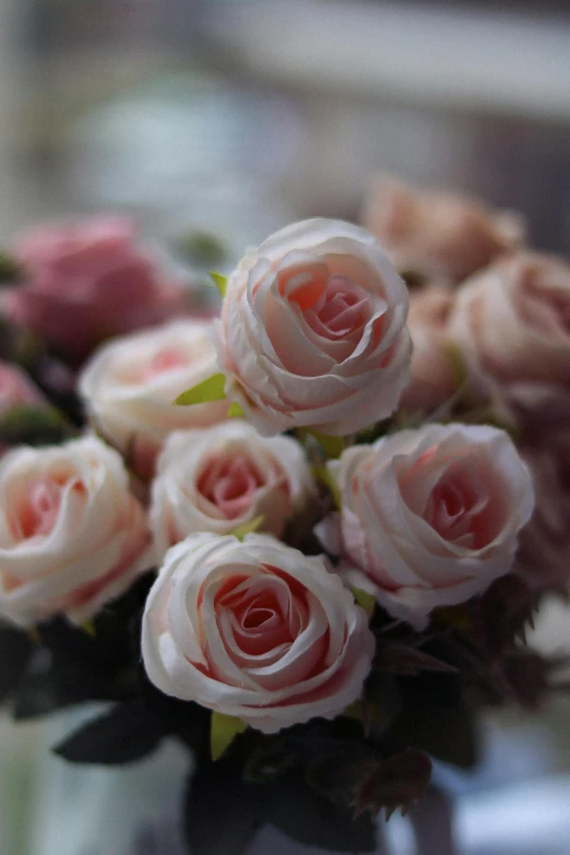 a bunch of pink roses in a clear vase