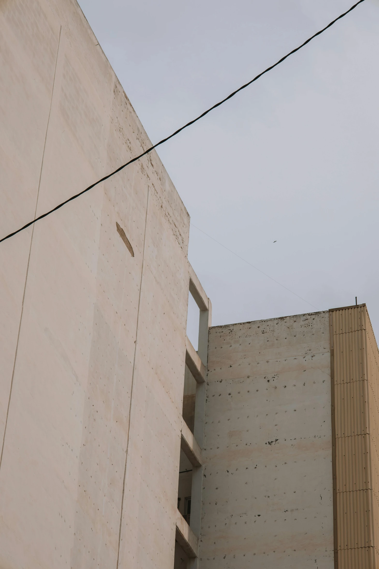 the side of a building that has birds in it