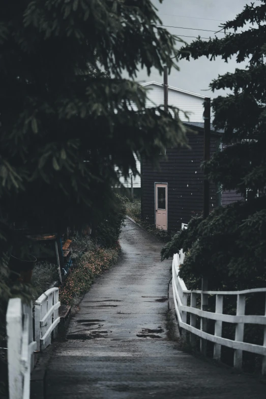 a narrow path is leading toward some houses