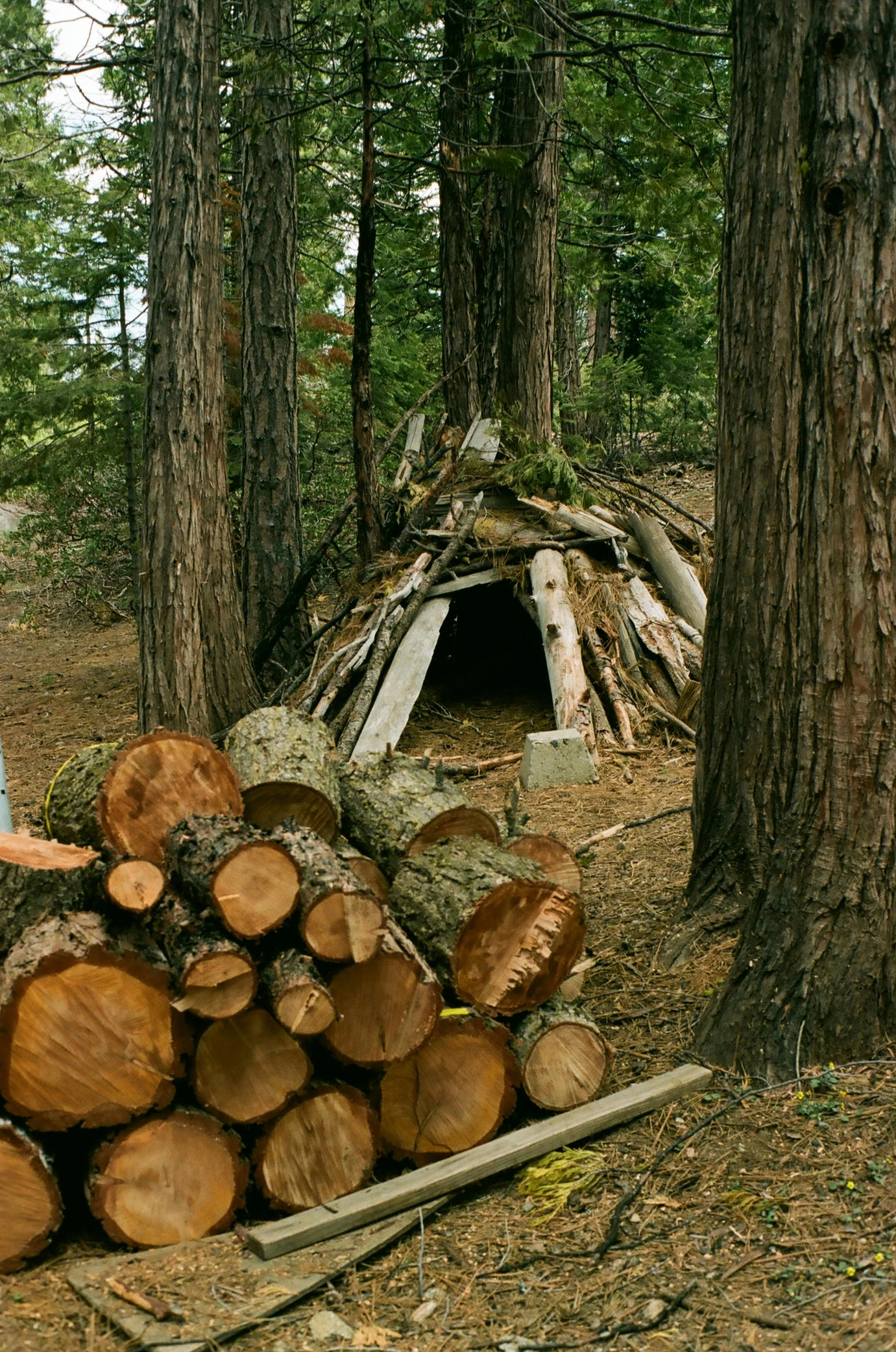 the man is standing next to a stack of logs