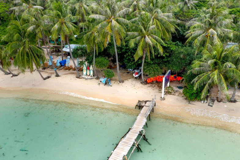 a beach with palm trees next to a pier