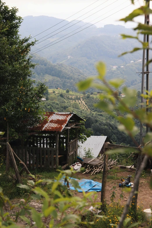 a shack in the woods with mountains behind it